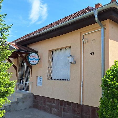 Koppány Vendégház Adand Extérieur photo